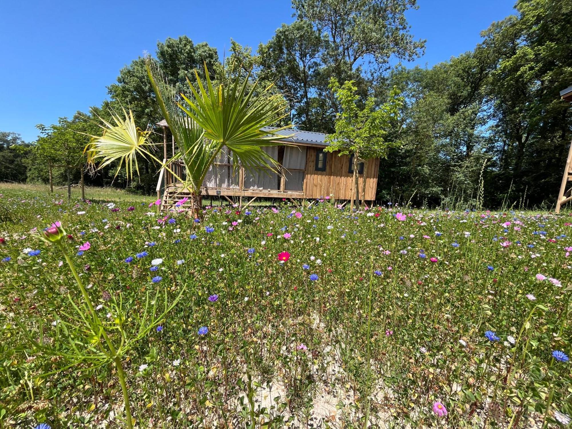 Chisseaux La Buissonniere Lodges מראה חיצוני תמונה
